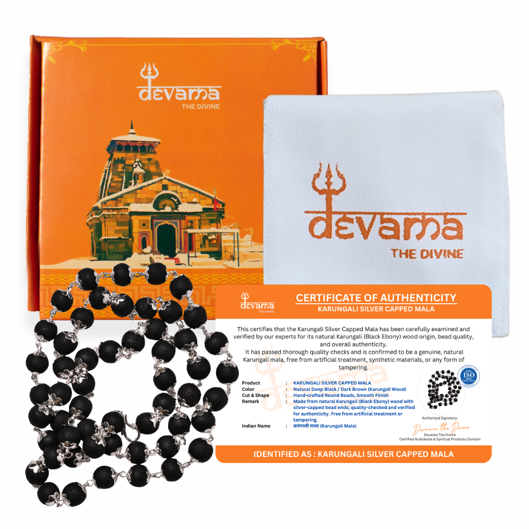 Silver Plated Divine Karungali Mala 108+1 Beads - Natural Ebony Wood Govt. Certified