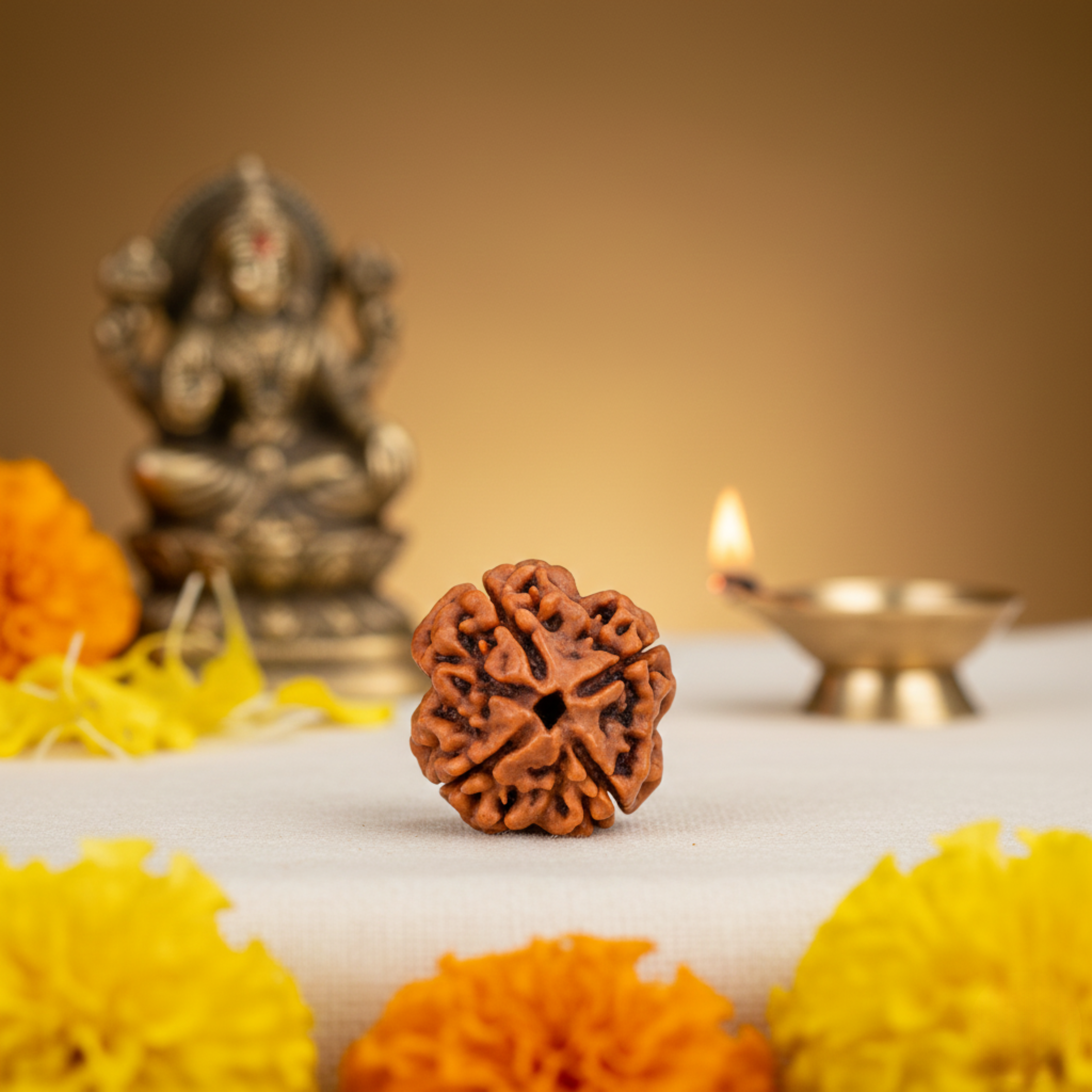 4 Mukhi Rudraksha Original | Four Faced Rudraksh Bead Mentioned in Shiva Purana | Brahma Tatva Rudraksha | Certified Natural for Intellect, Learning & Clarity