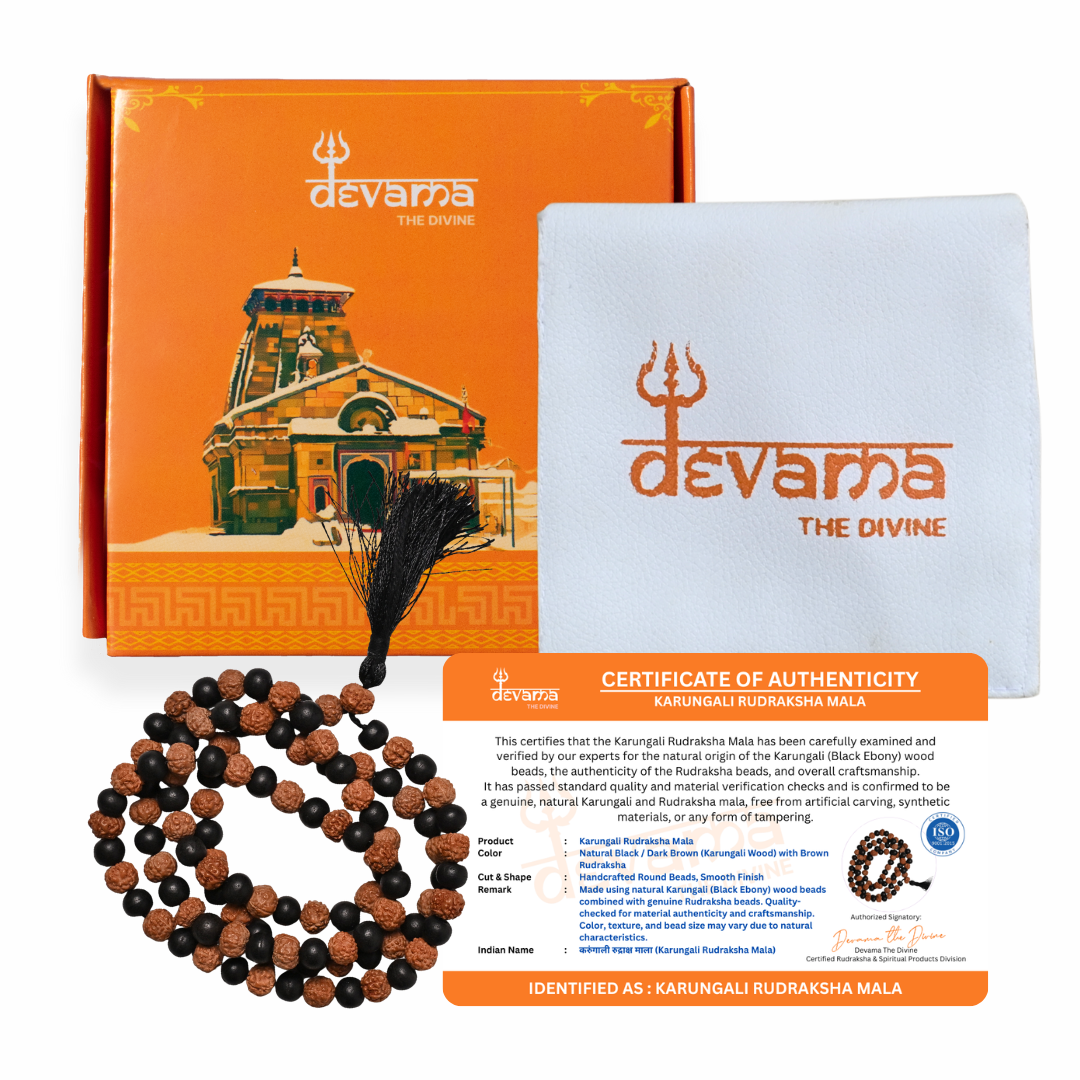 Divine Rudraksha Karungali Mala - 108+1 Beads Govt. Certified