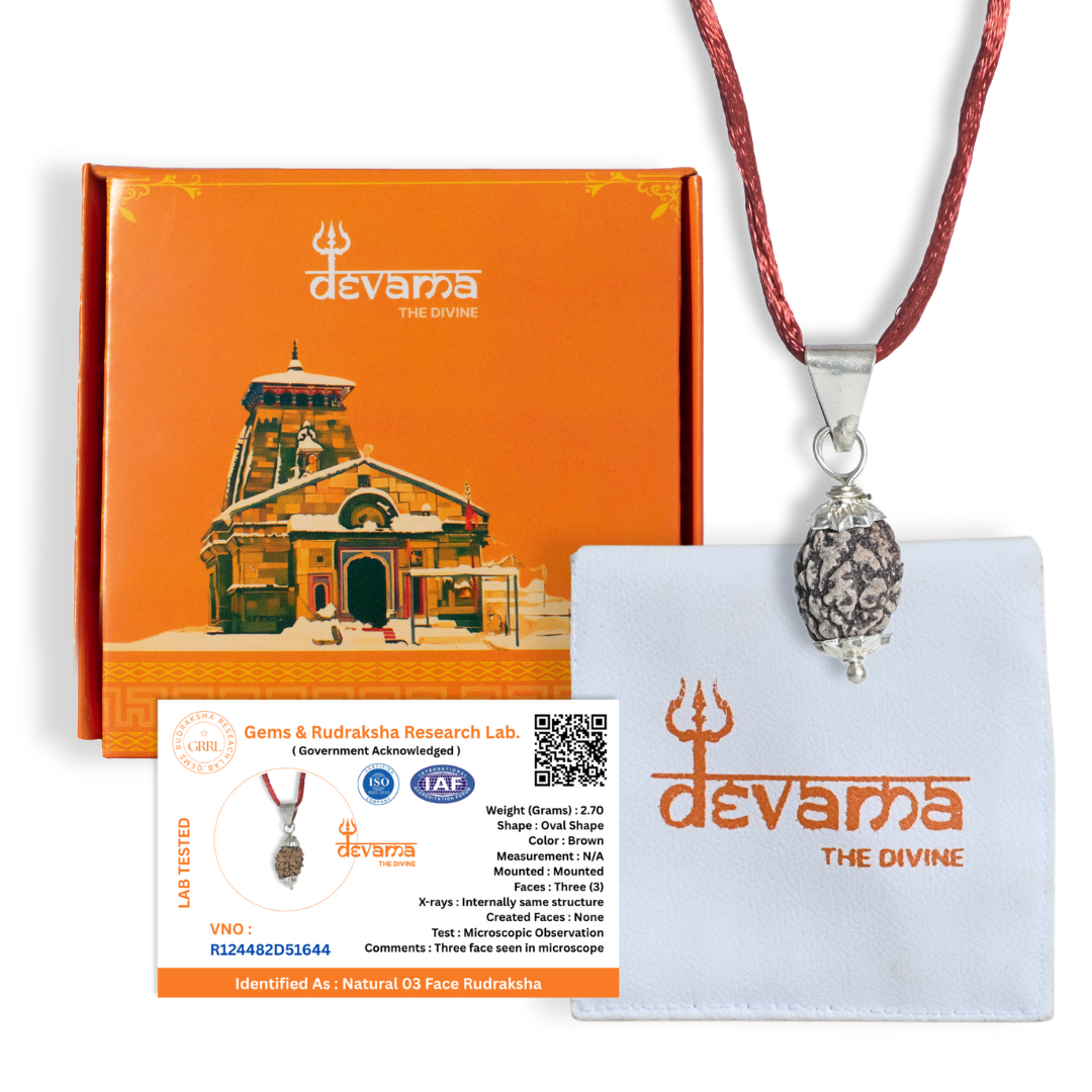 3 Mukhi Rudraksha Original | Three Faced Rudraksh Bead Mentioned in Shiva Purana | Agni Tatva Rudraksha | Certified Natural for Positivity, Energy & Self-Transformation