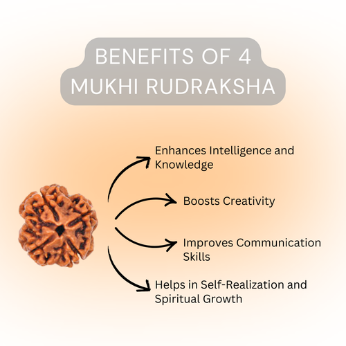 4 Mukhi Rudraksha Original | Four Faced Rudraksh Bead Mentioned in Shiva Purana | Brahma Tatva Rudraksha | Certified Natural for Intellect, Learning & Clarity