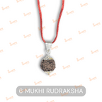6 Mukhi Rudraksha Original – Certified Kartikeya Bead