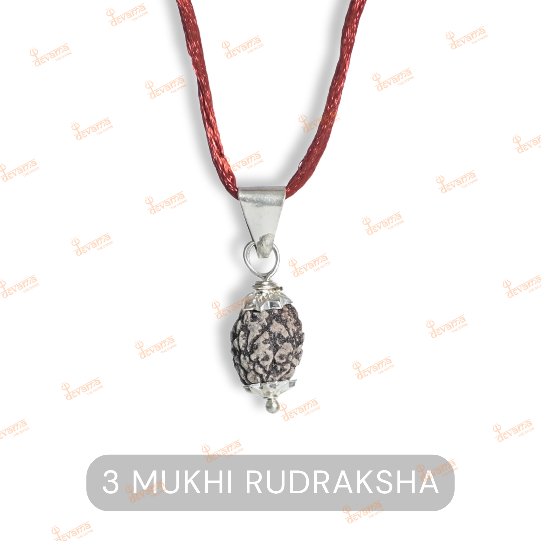 3 Mukhi Rudraksha Original | Three Faced Rudraksh Bead Mentioned in Shiva Purana | Agni Tatva Rudraksha | Certified Natural for Positivity, Energy & Self-Transformation