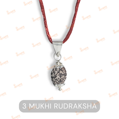 3 Mukhi Rudraksha Original | Three Faced Rudraksh Bead Mentioned in Shiva Purana | Agni Tatva Rudraksha | Certified Natural for Positivity, Energy & Self-Transformation