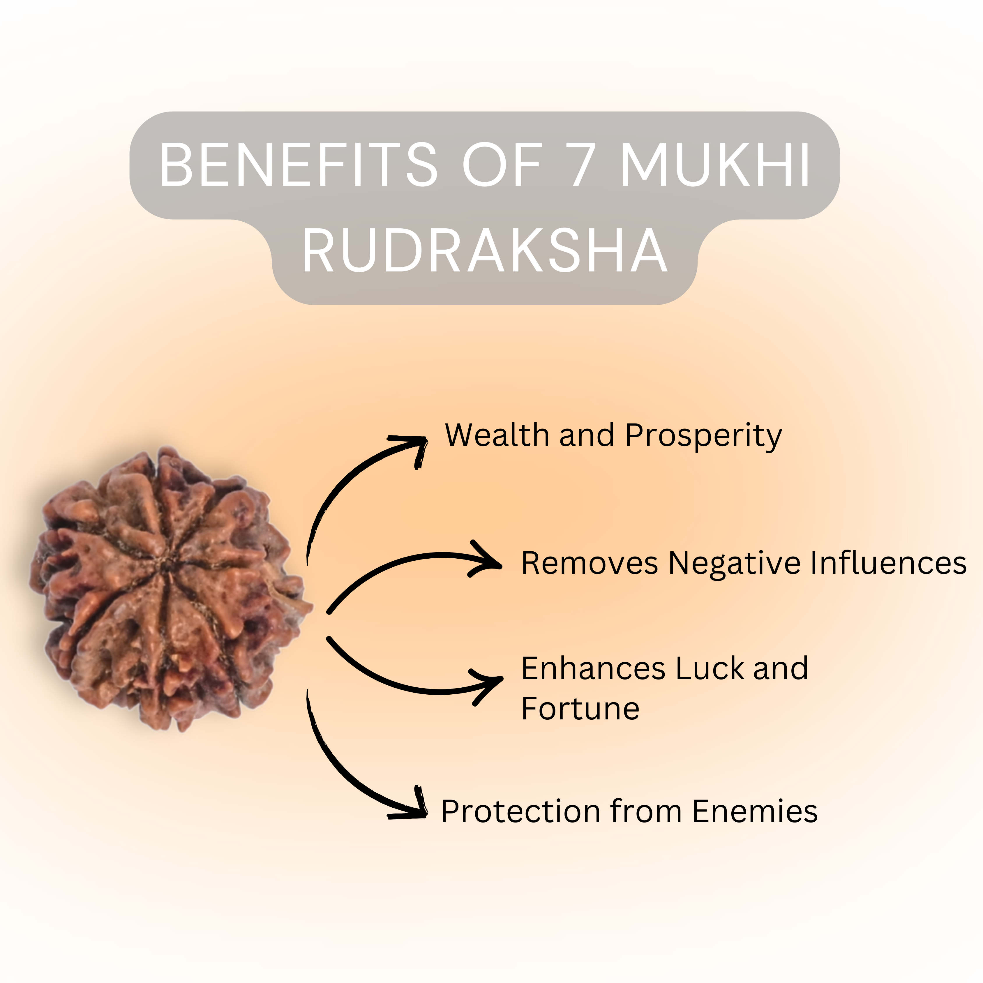 Natural 7 Mukhi Rudraksha | Certified Saat Mukhi Rudraksh Bead | Energized for Wealth, Health & Saturn Balance | Goddess Lakshmi Blessings | Vedic Astrology & Numerology Approved