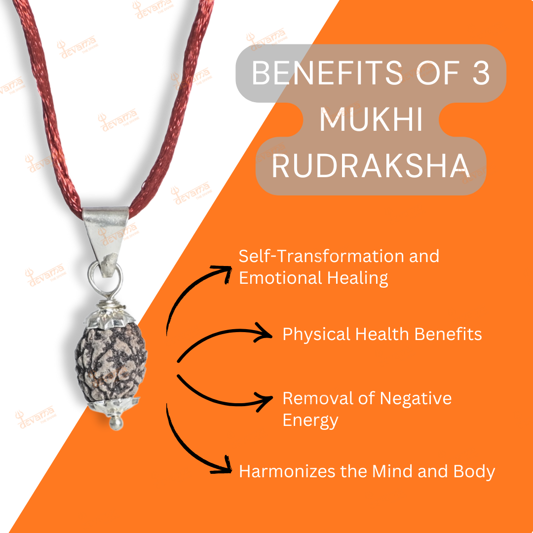 3 Mukhi Rudraksha Original | Three Faced Rudraksh Bead Mentioned in Shiva Purana | Agni Tatva Rudraksha | Certified Natural for Positivity, Energy & Self-Transformation