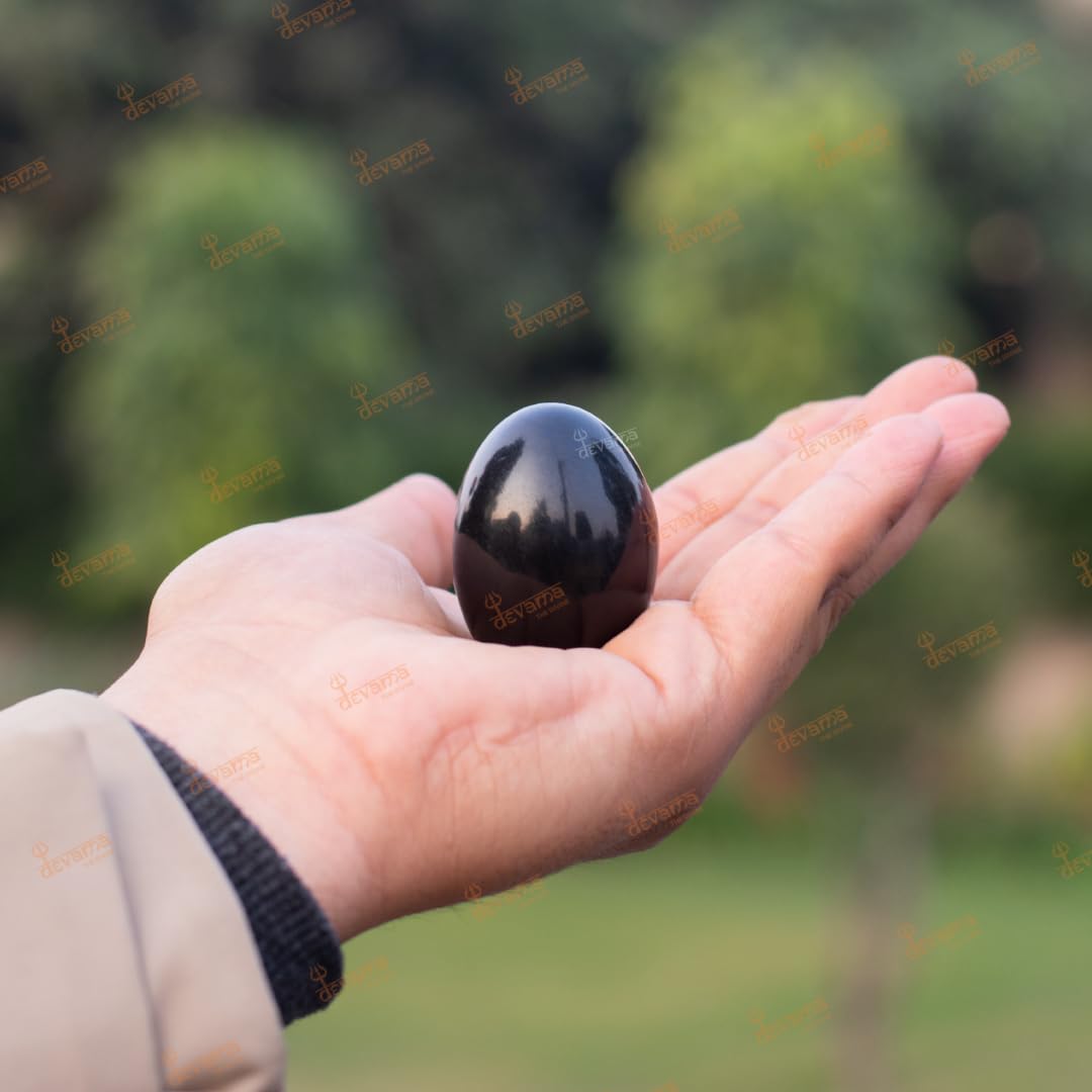 Devama The Divine™ Natural Black Stone Shaligram/SALIGRAM/SHALAGRAM/SALAGRAMA Shila for Pooja (Religious Stone) for Divine Blessings from GANDAKI River