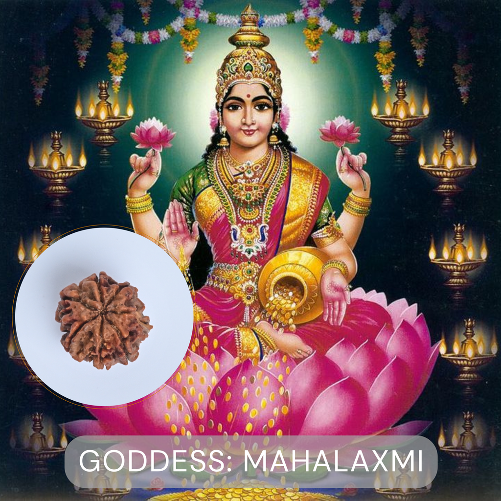 Natural 7 Mukhi Rudraksha | Certified Saat Mukhi Rudraksh Bead | Energized for Wealth, Health & Saturn Balance | Goddess Lakshmi Blessings | Vedic Astrology & Numerology Approved