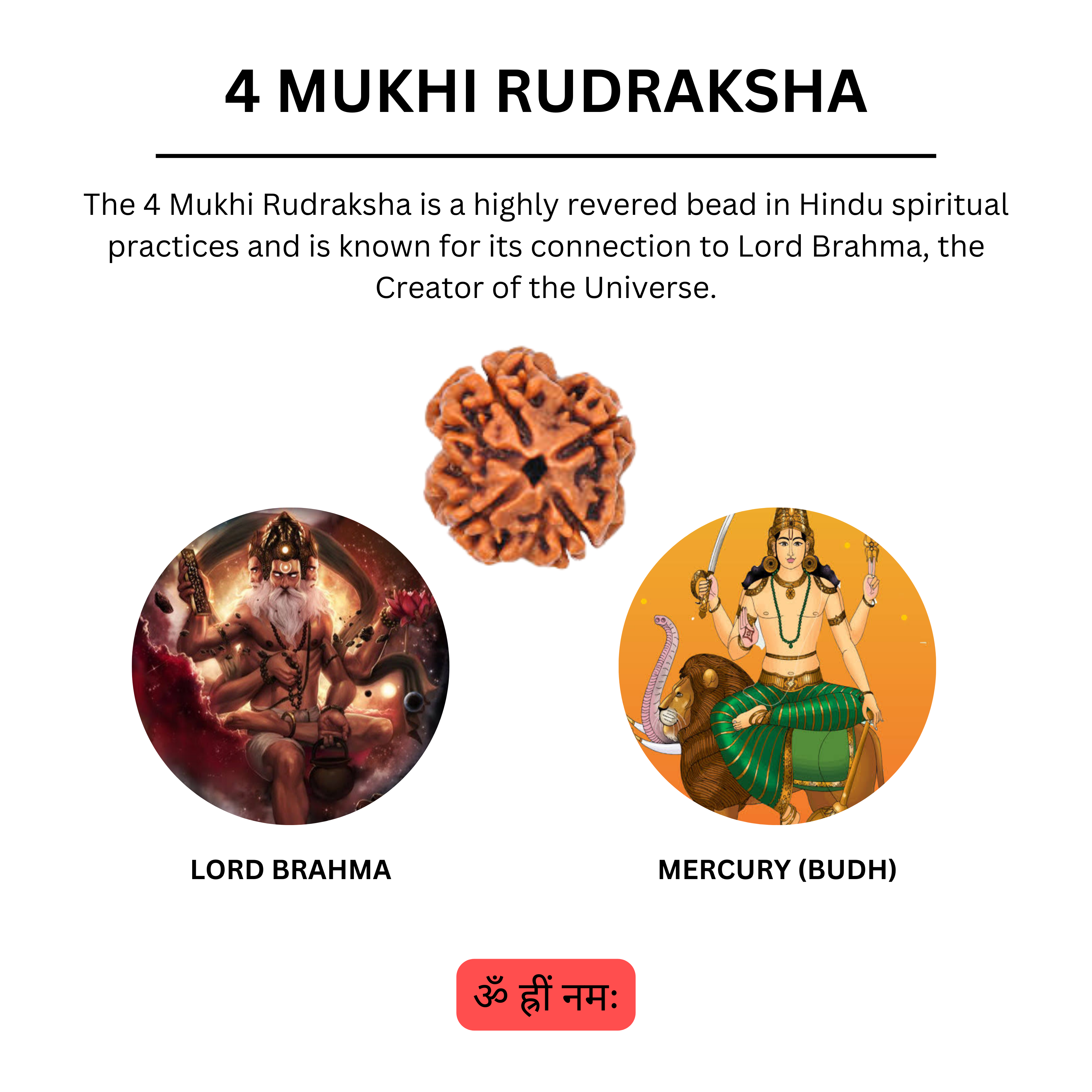 4 Mukhi Rudraksha Original | Four Faced Rudraksh Bead Mentioned in Shiva Purana | Brahma Tatva Rudraksha | Certified Natural for Intellect, Learning & Clarity