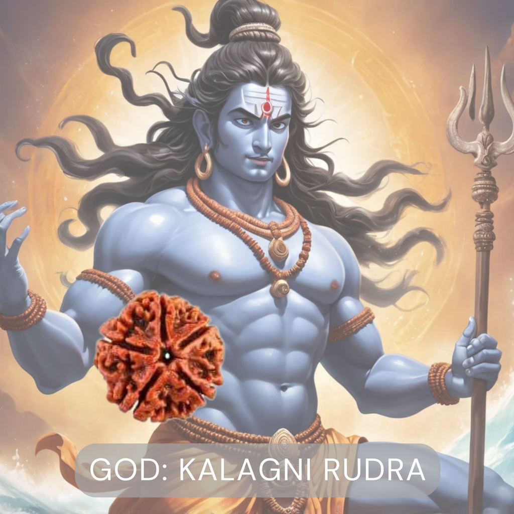 6 Mukhi Rudraksha | Six Faced Rudraksh as per Shiva Purana | Kartikeya (Skanda) Swaroop | Certified Natural Rudraksha for Wisdom, Focus & Discipline
