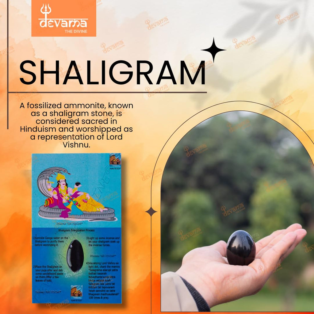 Devama The Divine™ Natural Black Stone Shaligram/SALIGRAM/SHALAGRAM/SALAGRAMA Shila for Pooja (Religious Stone) for Divine Blessings from GANDAKI River
