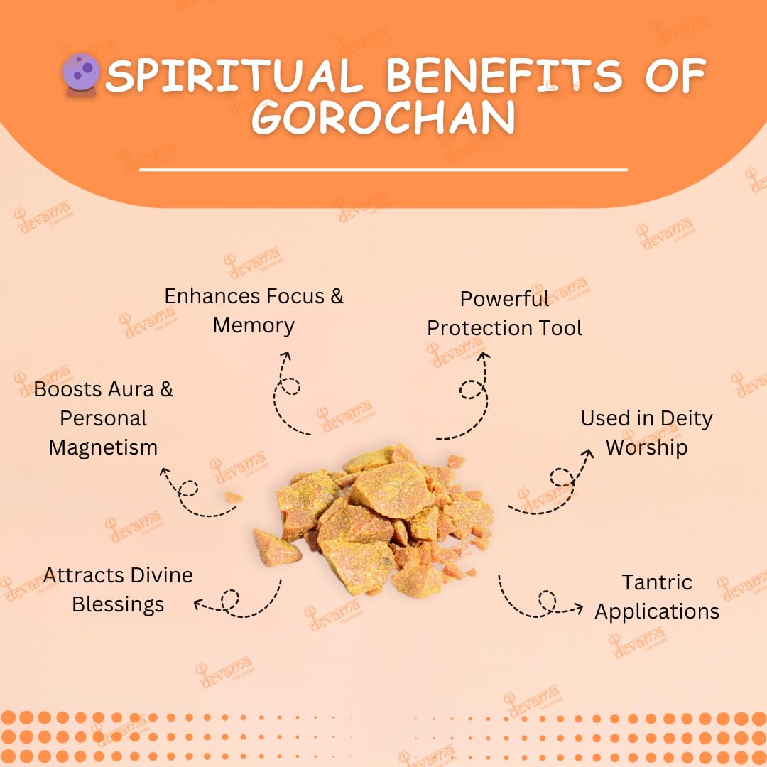 Devama The Divine Original Gaulochan (Gorochan) | Authentic Spiritual Substance for Tantra, Pooja, and Sadhana | Sacred Herbal Powder for Ritual Use (FOR EXTERNAL USE ONLY)