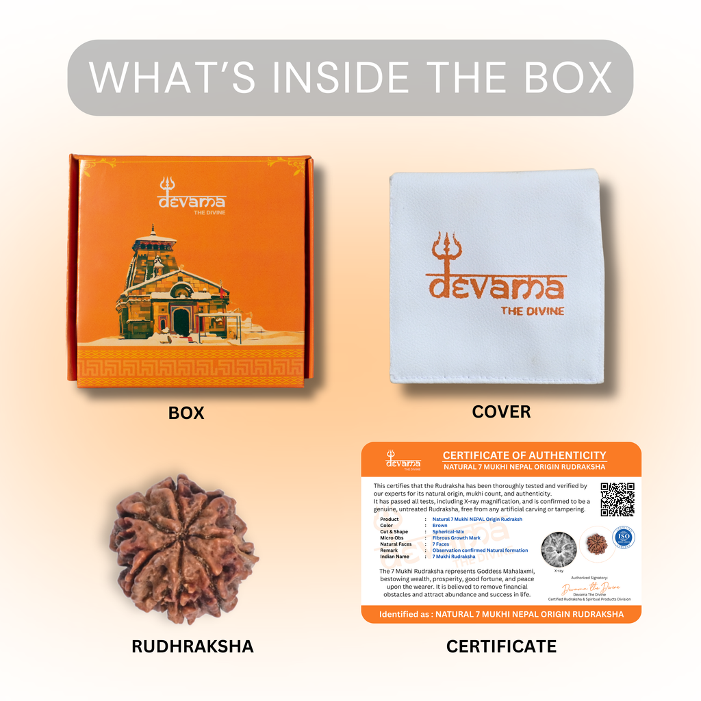 Natural 7 Mukhi Rudraksha | Certified Saat Mukhi Rudraksh Bead | Energized for Wealth, Health & Saturn Balance | Goddess Lakshmi Blessings | Vedic Astrology & Numerology Approved