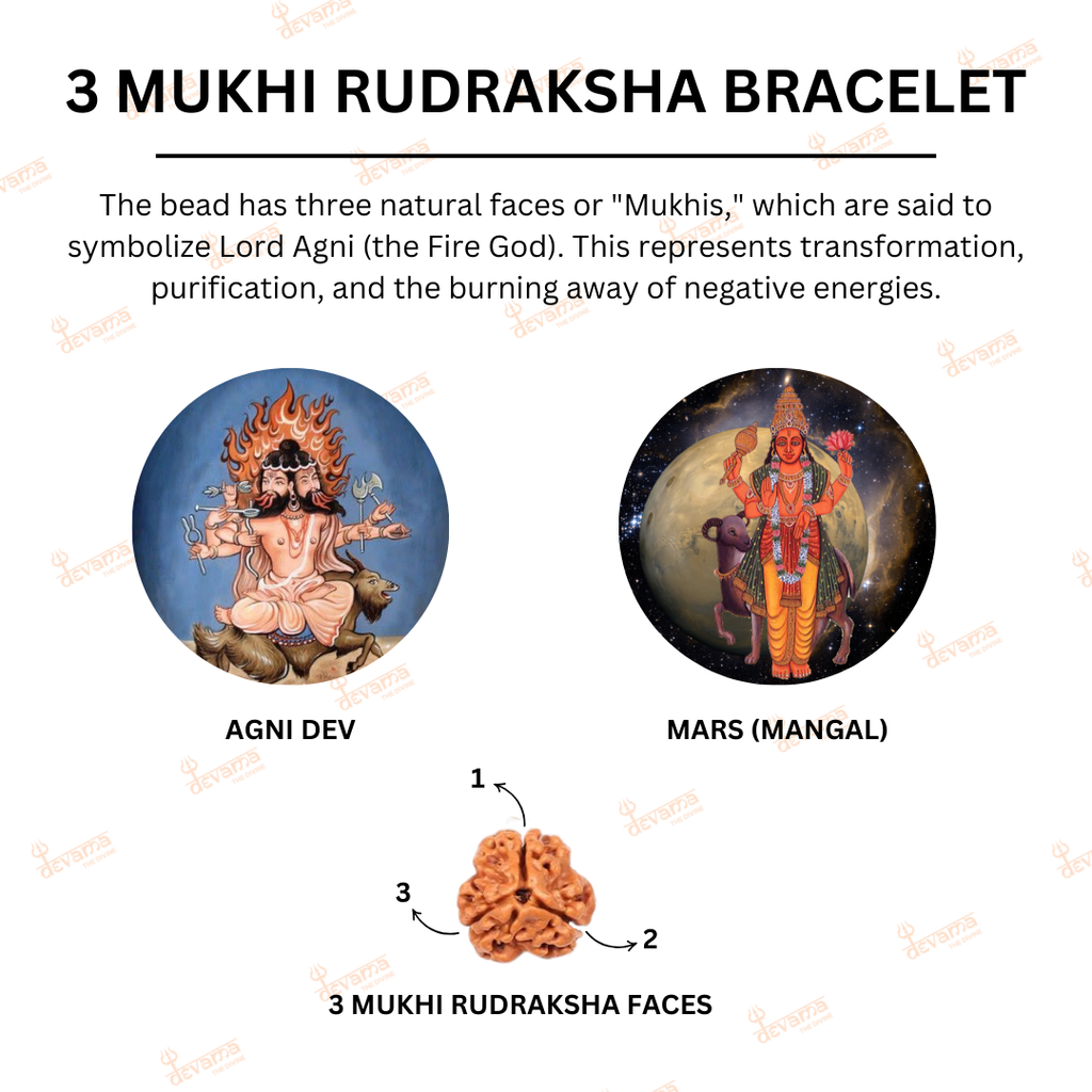 3 Mukhi Rudraksha Original | Three Faced Rudraksh Bead Mentioned in Shiva Purana | Agni Tatva Rudraksha | Certified Natural for Positivity, Energy & Self-Transformation