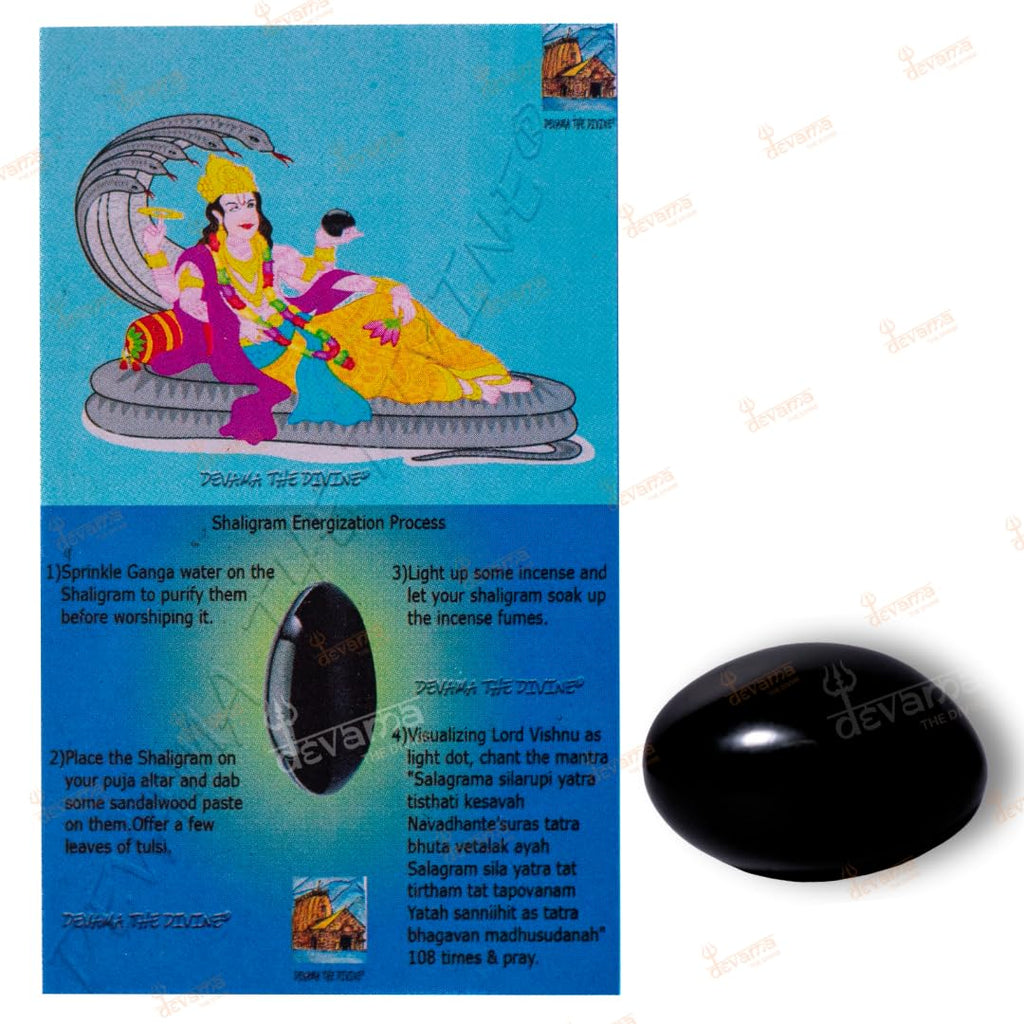 Devama The Divine™ Natural Black Stone Shaligram/SALIGRAM/SHALAGRAM/SALAGRAMA Shila for Pooja (Religious Stone) for Divine Blessings from GANDAKI River