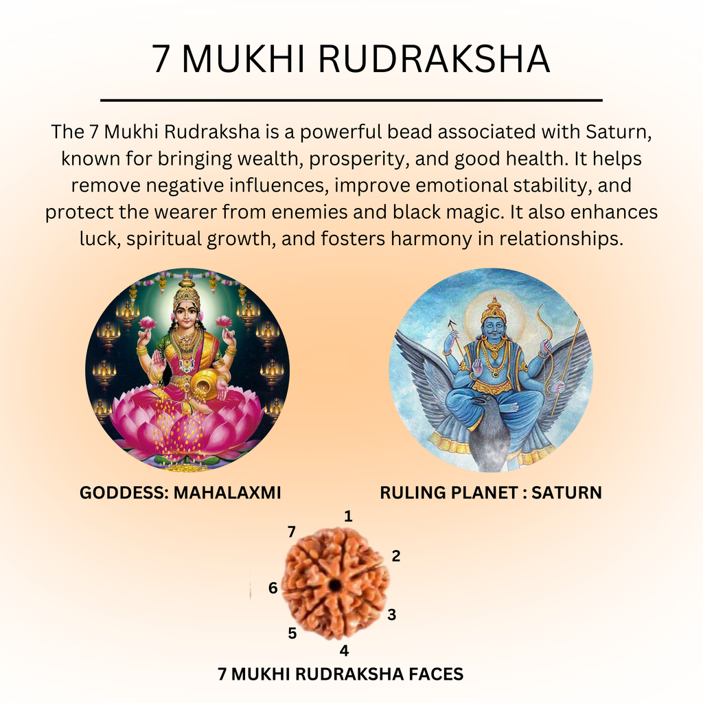 Natural 7 Mukhi Rudraksha | Certified Saat Mukhi Rudraksh Bead | Energized for Wealth, Health & Saturn Balance | Goddess Lakshmi Blessings | Vedic Astrology & Numerology Approved