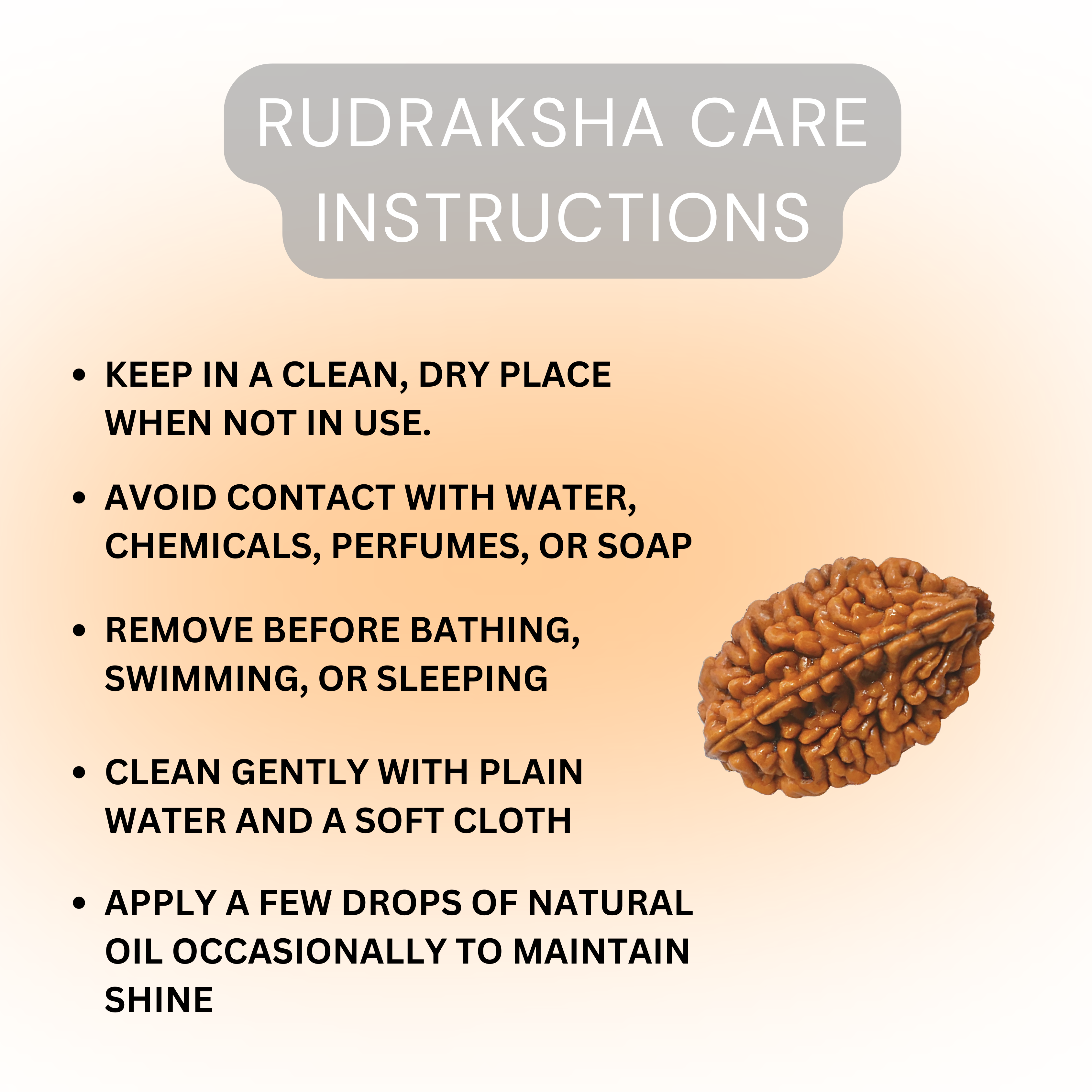2 Mukhi Rudraksha Original | Two Faced Rudraksh as per Shiva Purana | Ardhanarishwar Form | Recommended for Relationship Issues, Stress & Emotional Stability