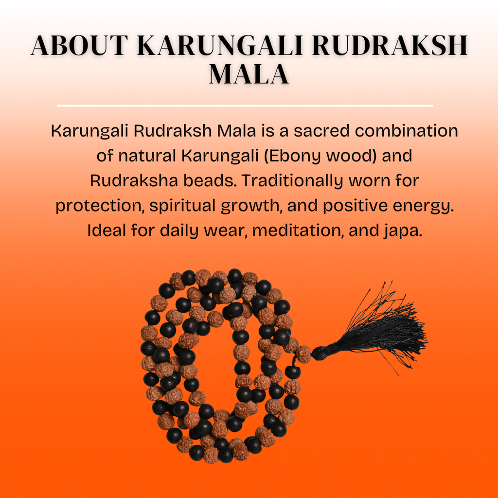 Divine Rudraksha Karungali Mala - 108+1 Beads Govt. Certified