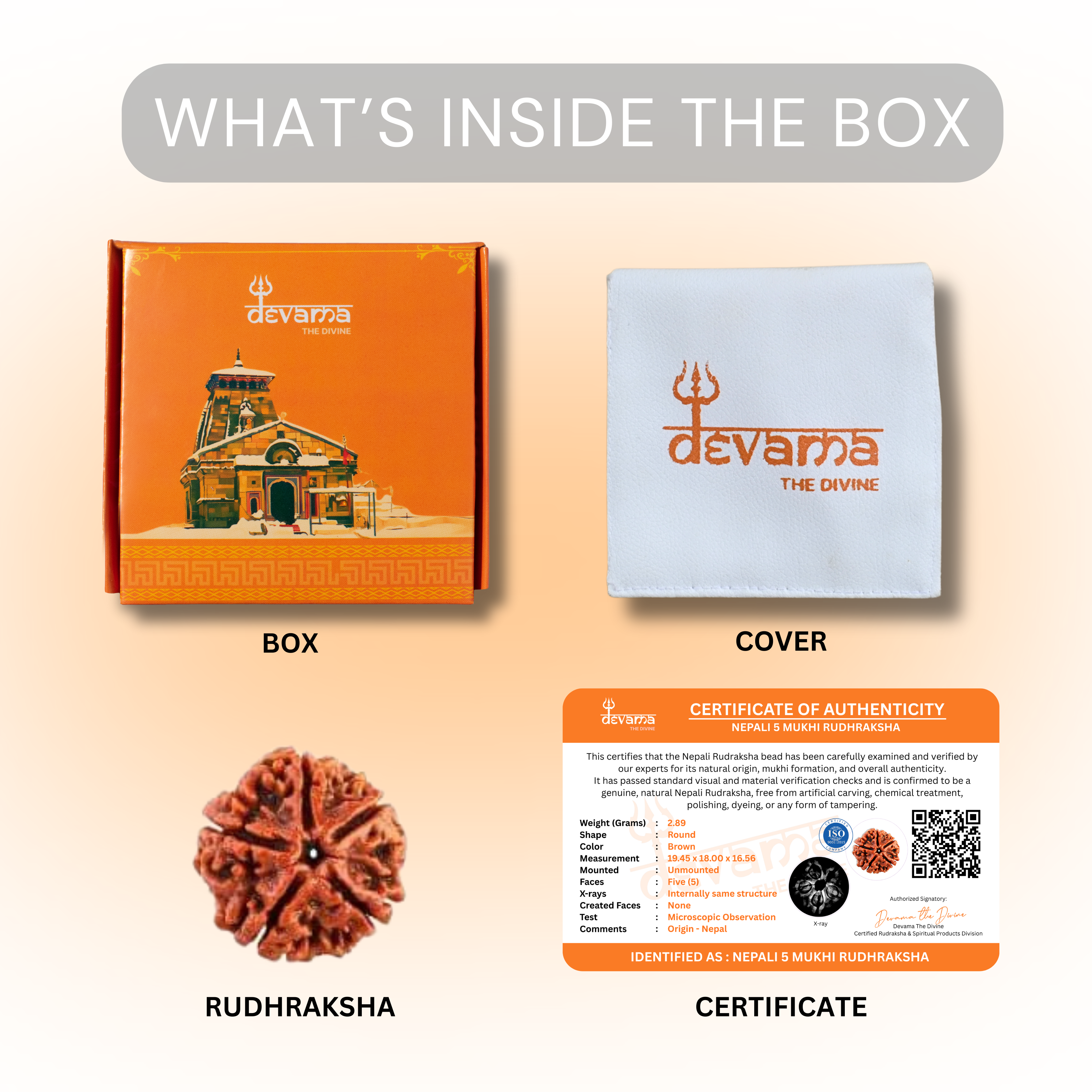 5 Mukhi Rudraksha | Five Faced Rudraksh as per Shiva Purana | Kalagni Rudra Swaroop | Certified Natural Rudraksha for Peace, Balance & Spiritual Growth