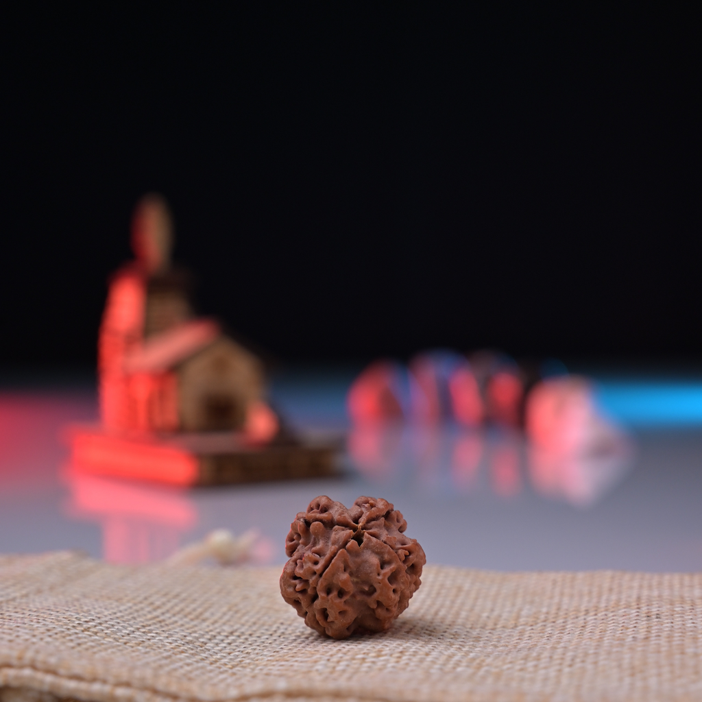 4 Mukhi Rudraksha Original | Four Faced Rudraksh Bead Mentioned in Shiva Purana | Brahma Tatva Rudraksha | Certified Natural for Intellect, Learning & Clarity