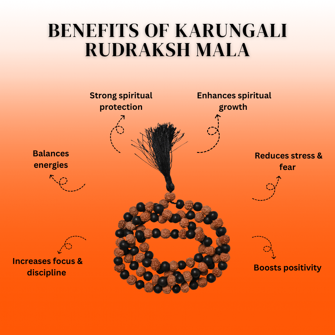 Divine Rudraksha Karungali Mala - 108+1 Beads Govt. Certified